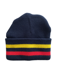 Dainfern Beanie
